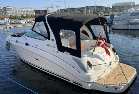 Sea Ray 315 Sundancer (53)